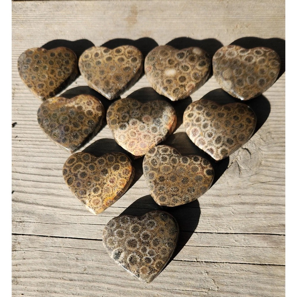 Coral Fossil Hearts 35mm, Shaded Fossil Coral, Rare Fossil Coral